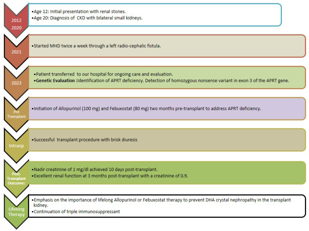 Journey from renal stones to renal transplantation. CKD: chronic kidney disease, MHD: maintenance hemodialysis, APRT: adenine phosphoribosyl transferase enzyme, DHA: dihydroxyadenine