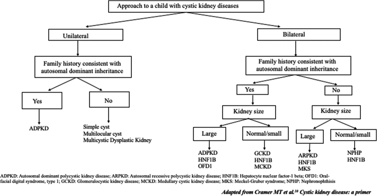 The flow diagram for differential diagnosis of cystic kidney disease in a child.