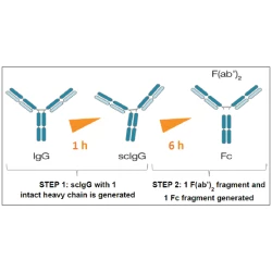 Article figure