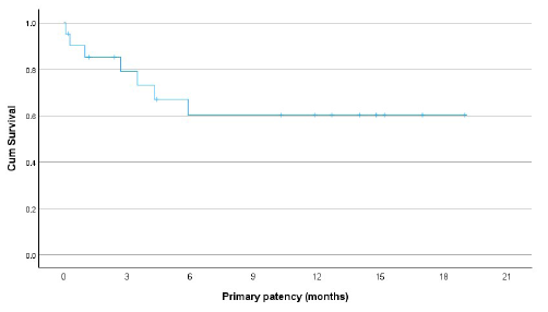 Graph showing primary patency rates of failed hemodialysis arteriovenous fistulas post endovascular treatment with percutaneous balloon angioplasty as initial therapy.