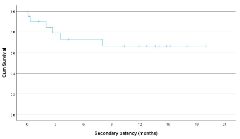 Graph showing secondary (cumulative) patency rates of failed hemodialysis arteriovenous fistulas post endovascular treatment with percutaneous balloon angioplasty as initial therapy.