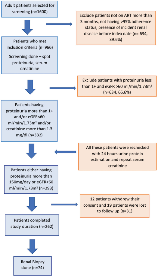 Consort diagram. eGFR: estimated glomerular filtration rate. ART: Anti-retroviral treatment.