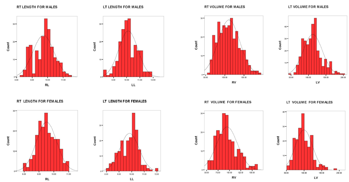 Nomograms for right and left kidney lengths and right and left RPV in males (upper panel) and females (lower panel). RT: right, LT: left, RL: Right length, LL: left length, RV: right volume and LV: left volume. RPV: renal parenchymal volume.