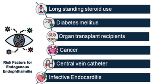 Risk factors for Endogenous Endophthalmitis.