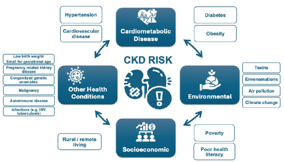 Risk factors for CKD. CKD: Chronic kidney disease, HIV: Human immunodeficiency virus.