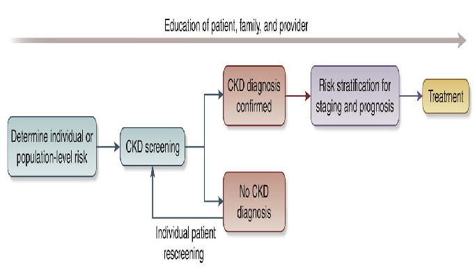Conceptual framework of a CKD testing, risk stratification, and treatment program, see reference.30 CKD: Chronic kidney disease.