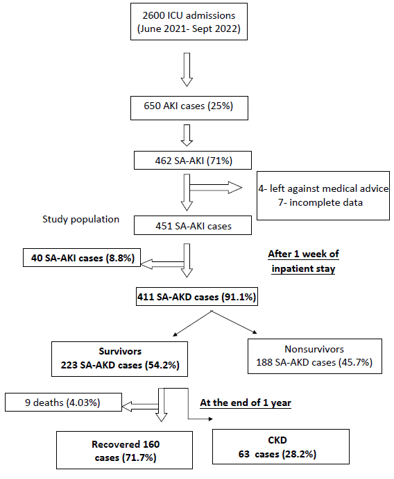 Flowchart. AKI: Acute kidney injury, SA-AKI: Sepsis associated-acute kidney injury, SA-AKD: Sepsis associated-acute kidney disease, CKD: Chronic kidney disease.