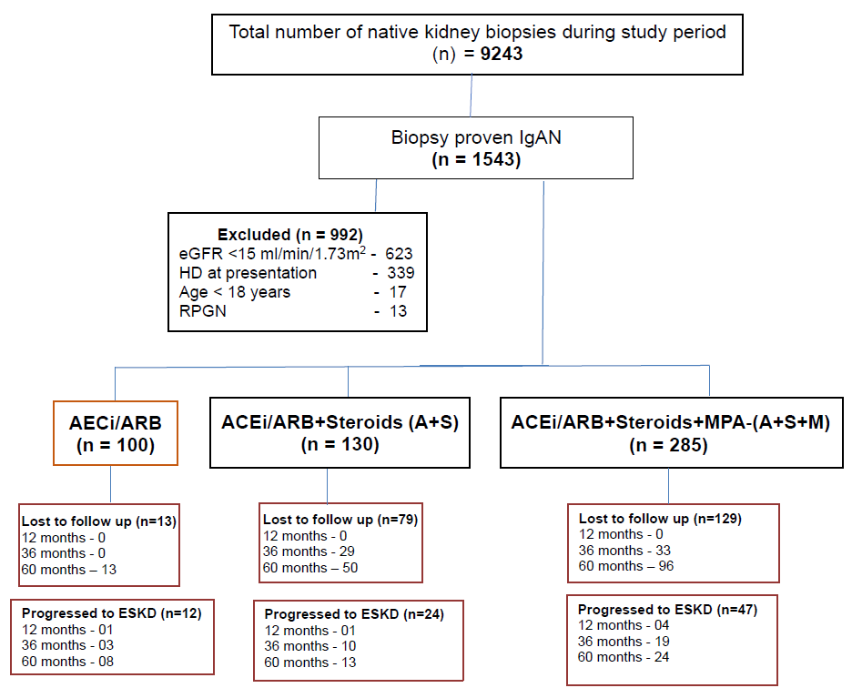 Study flow chart. ACEi: Angiotensin converting enzyme inhibitors, ARB: Angiotension receptor blockers, eGFR: Estimated glomerular filtration rate, ESKD: End stage kidney disease, HD: Hemodilaysis, IgAN: Immunoglobulin A neprhopathy, MMF: Mycophenolic acid, RPGN: Rapidly progressive glomerulonephriti.