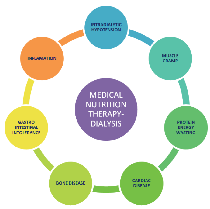 Significance of medical nutrition therapy in dialysis-associated complication.