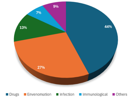 Causes of acute interstitial nephritis.