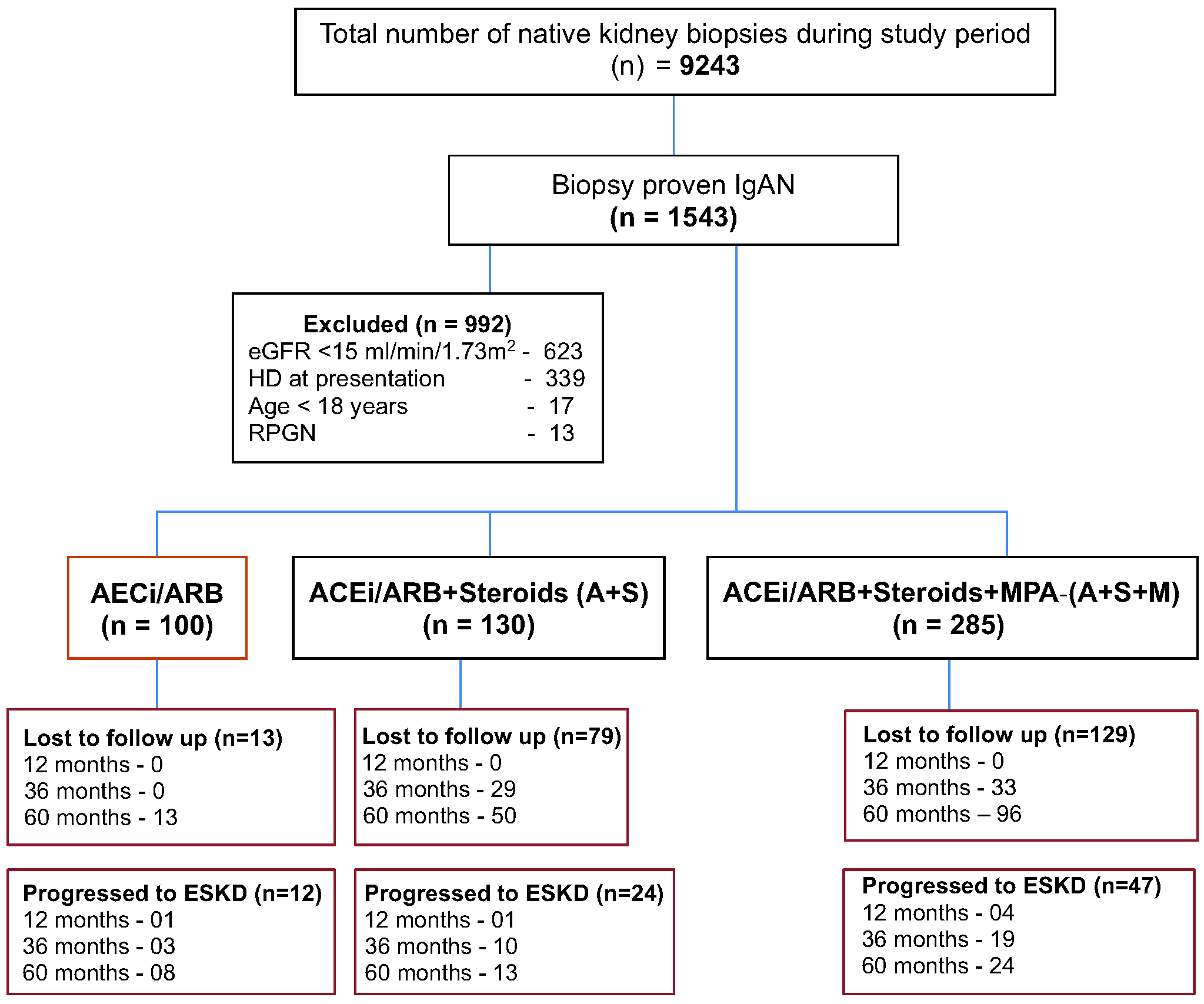 Study flow chart. ACEi: Angiotensin converting enzyme inhibitors, ARB: Angiotension receptor blockers, eGFR: Estimated glomerular filtration rate, ESKD: End stage kidney disease, HD: Hemodilaysis, IgAN: Immunoglobulin A neprhopathy, MMF: Mycophenolic acid, RPGN: Rapidly progressive glomerulonephriti.